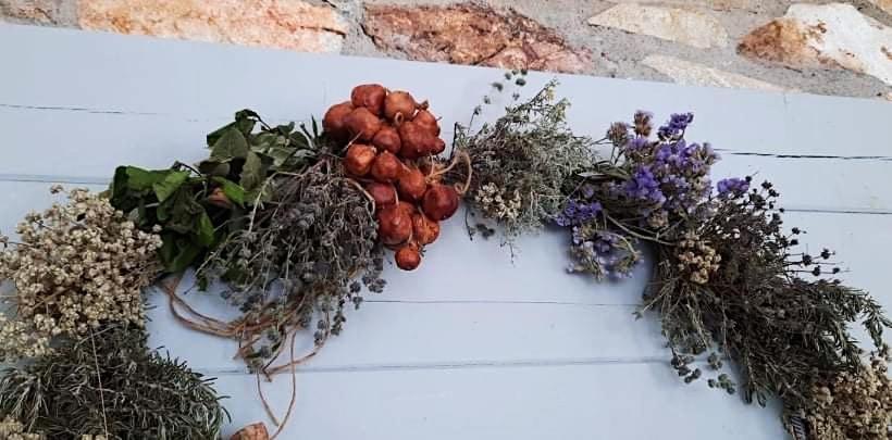 Amfitriti Serifos Livadi  Esterno foto